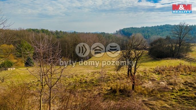 Prodej, Louka, Dubá