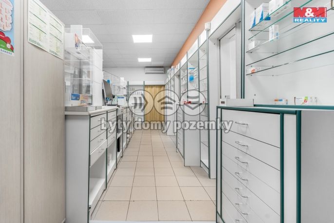 Pronájem, Ostatní, Ústí nad Labem