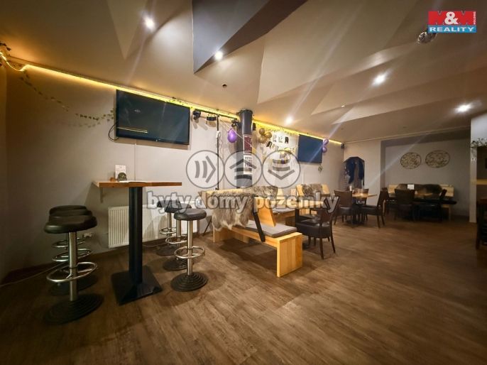 Pronájem, Restaurace, stravování, Děčín