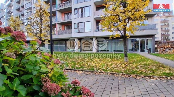 Pronájem, Kancelářský prostor, Praha