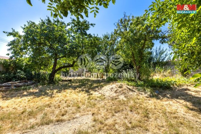 Prodej, Chalupa, Holovousy