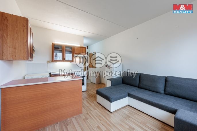 Prodej, Byt 1+1, Chodov