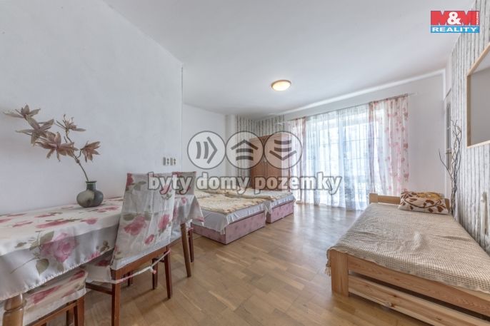 Prodej, Hotel, penzion, Třebívlice