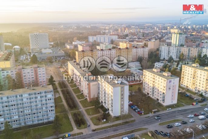 Pronájem, Byt 1+kk, Plzeň