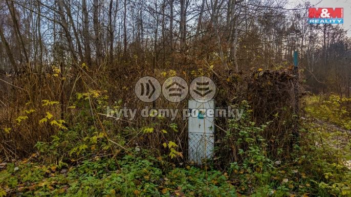 Prodej, Louka, Česká Lípa