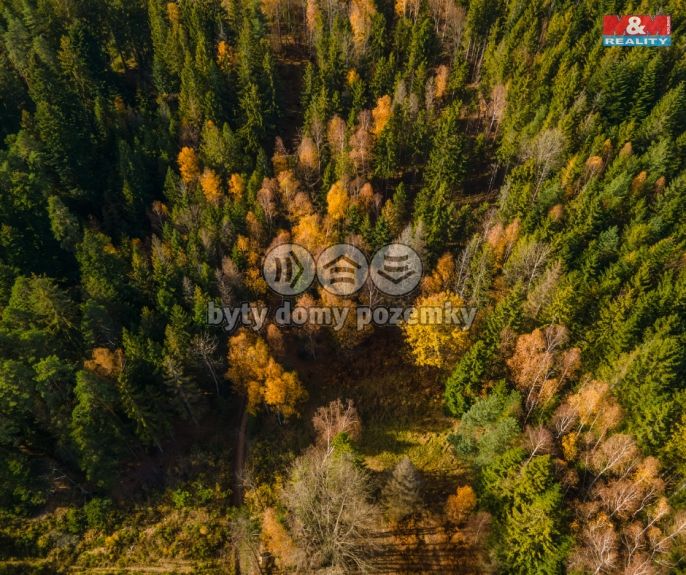 Prodej, Pastvina, Milíkov