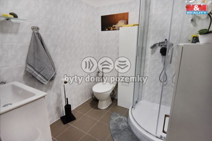 Pronájem, Byt 1+kk, Plazy