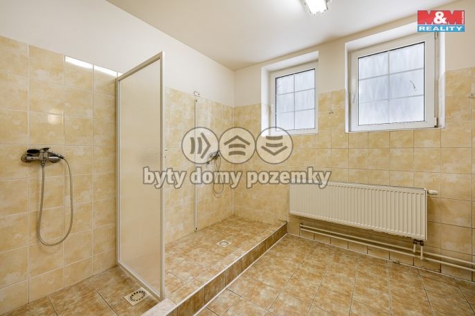 Prodej, Hotel, penzion, Petrovice