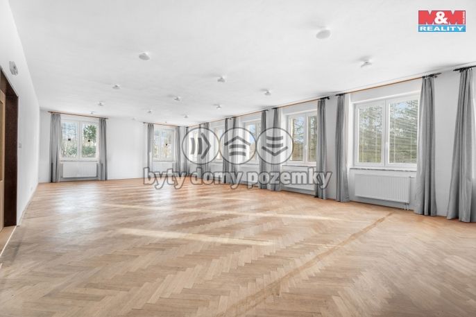 Prodej, Hotel, penzion, Borušov