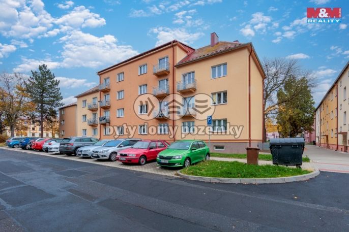Prodej, Byt 2+1, Ostrov