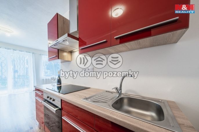 Pronájem, Byt 1+kk, Velký Osek