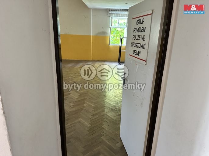 Pronájem, Ostatní, Dražice