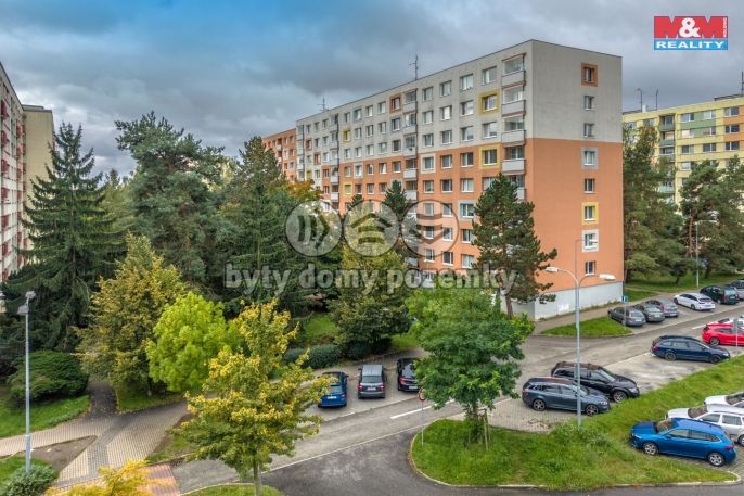 Prodej, Byt 1+1, Mladá Boleslav