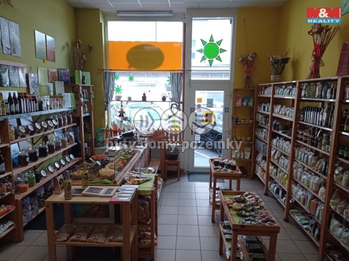 Pronájem, Obchod a služby, Český Těšín