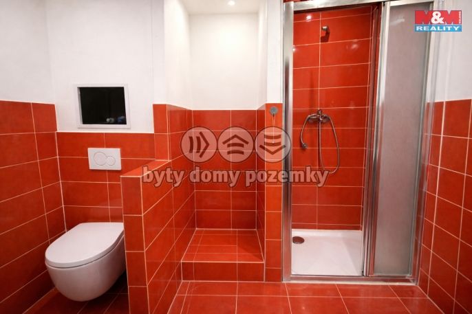 Pronájem, Byt 1+kk, Brandýs nad Labem-Stará Boleslav