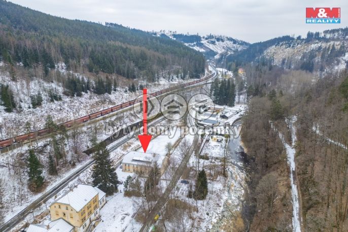 Prodej, Rodinný dům, Planá