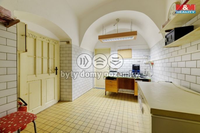 Pronájem, Obchod a služby, Planá