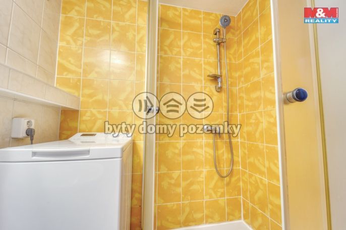 Prodej, Byt 2+1, Bor