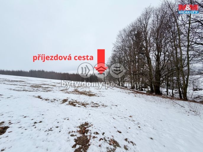 Prodej, Louka, Lichkov