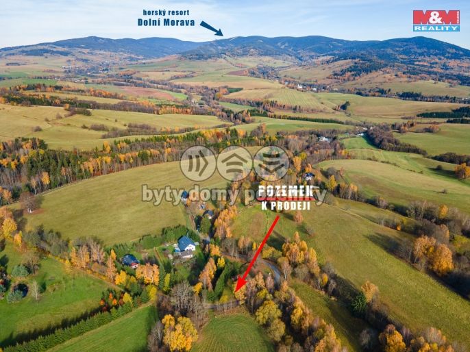 Prodej, Zahrada, Malá Morava