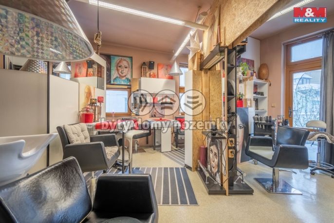 Prodej, Nájemní dům, Kladno