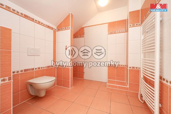 Prodej, Rodinný dům, Velký Týnec