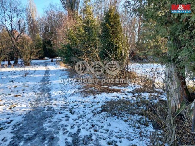 Prodej, Zahrada, Kořenice