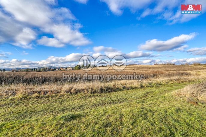 Prodej, Komerční pozemky, Tachov