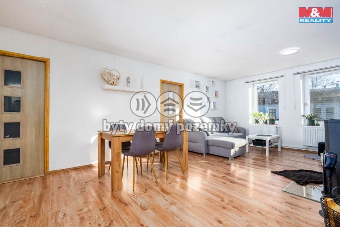 Prodej, Rodinný dům, Sány