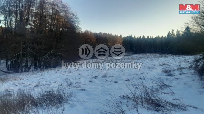 Prodej, Louka, Oselce