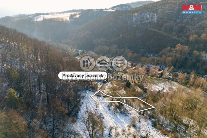 Prodej, Zahrada, Ryjice