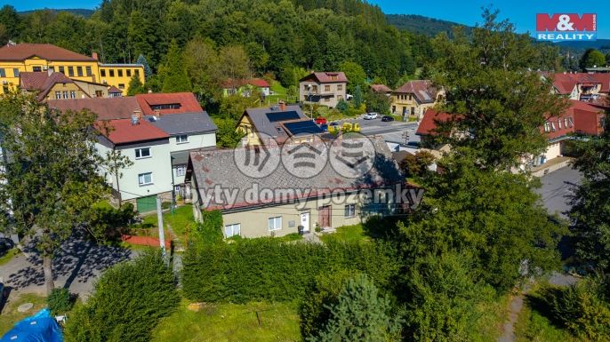 Prodej, Rodinný dům, Plavy