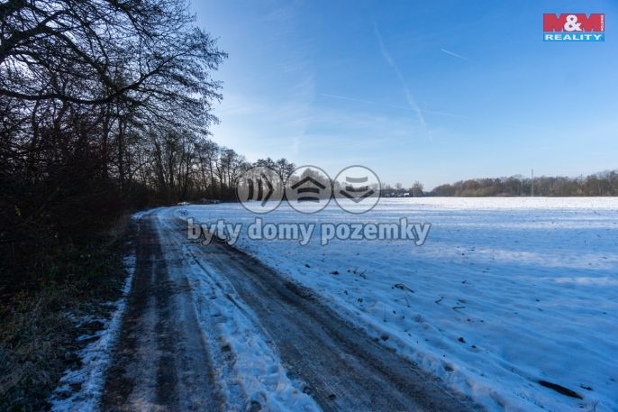 Prodej, Pole, Pardubice