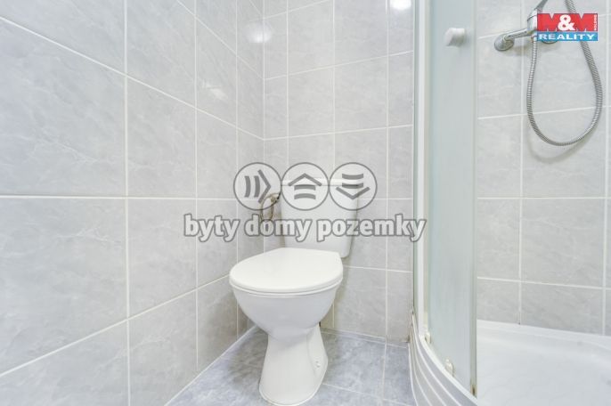 Pronájem, Byt 1+kk, Plzeň