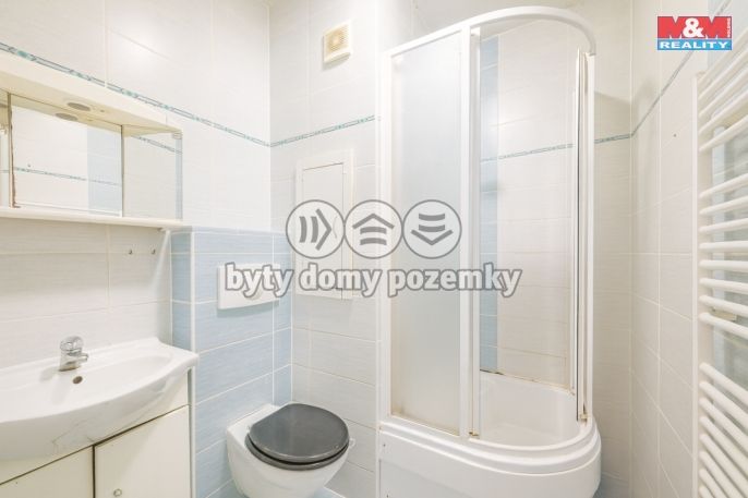 Prodej, Byt 1+1, Tachov