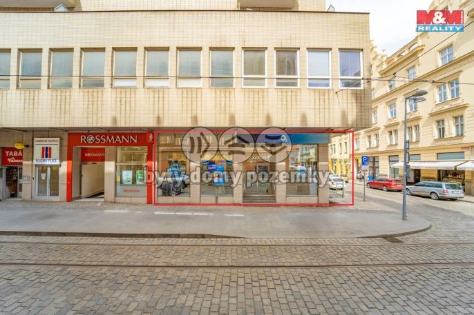 Pronájem, Obchod a služby, Plzeň