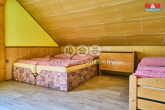 Prodej, Hotel, penzion, Nová Ves nad Nisou