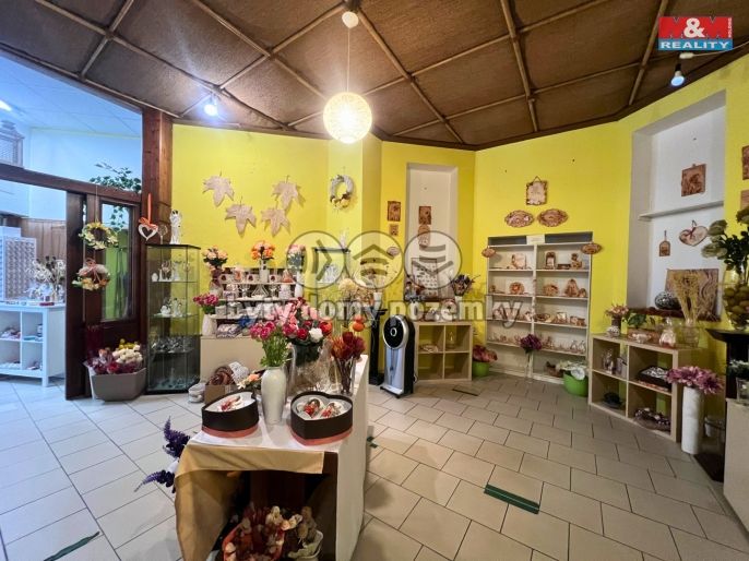 Pronájem, Obchod a služby, Bohumín