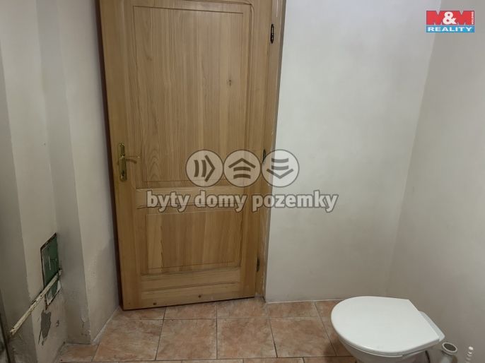 Prodej, Chalupa, Pulečný