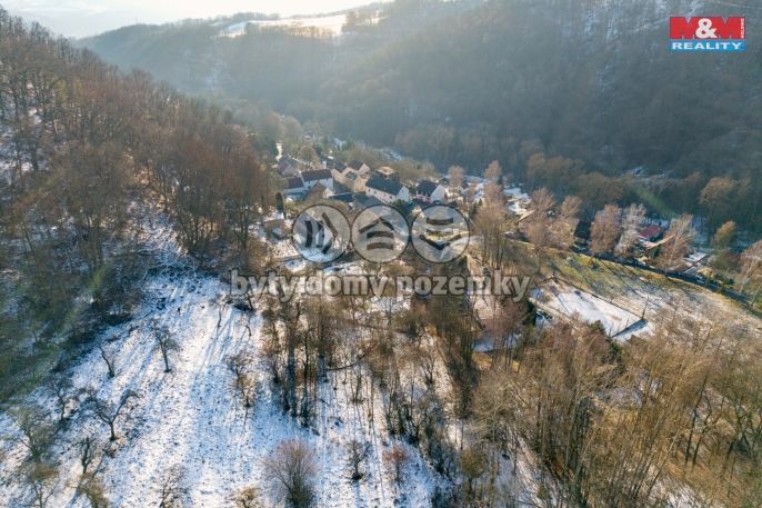 Prodej, Zahrada, Ryjice