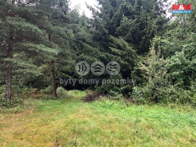 Prodej, Vodní plocha, Dvory nad Lužnicí