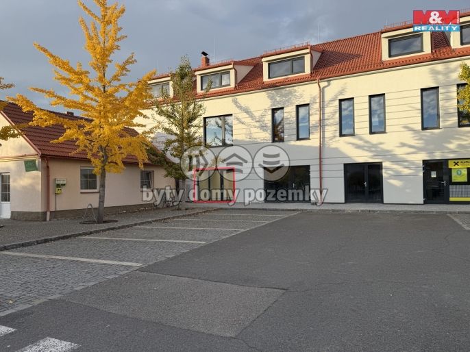 Pronájem, Obchod a služby, Blatná