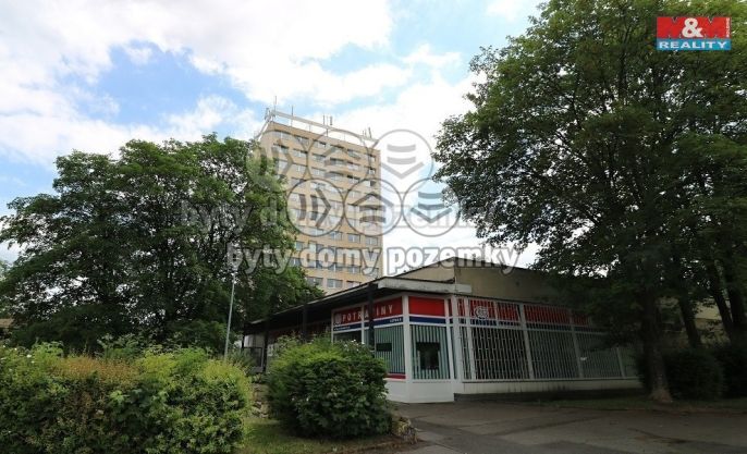 Pronájem, Byt 1+kk, Teplice