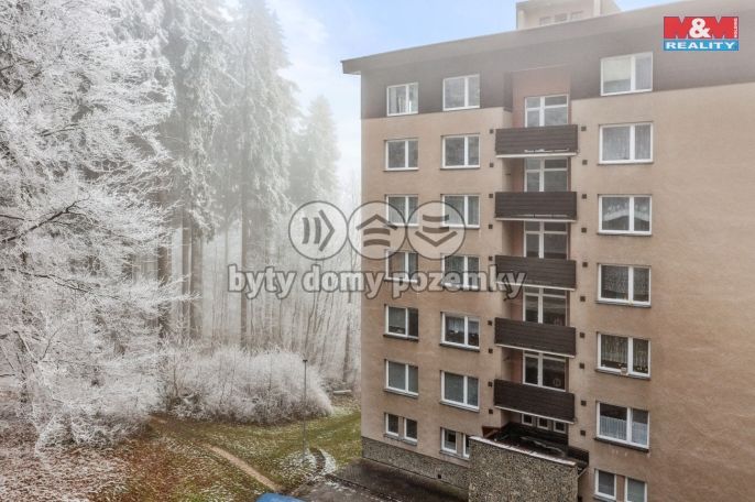 Prodej, Byt 1+1, Janské Lázně