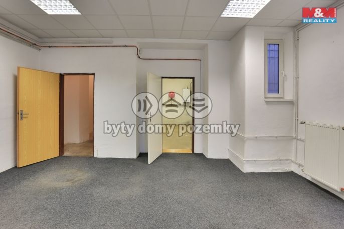 Pronájem, Obchod a služby, Český Těšín