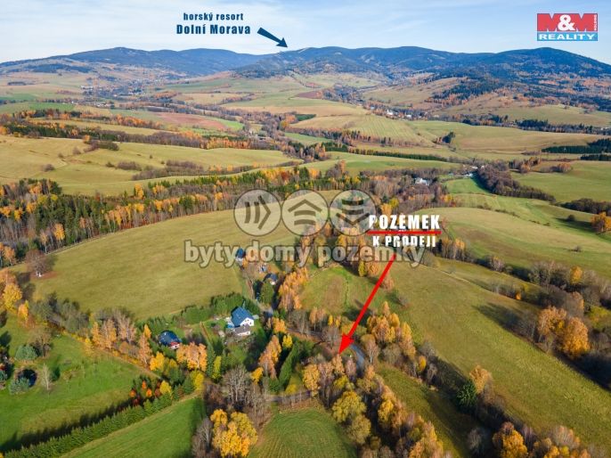 Prodej, Pozemek k bydlení, Malá Morava