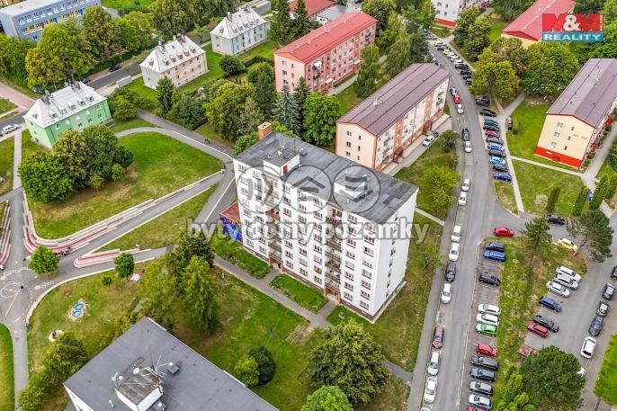 Pronájem, Byt 2+1, Planá