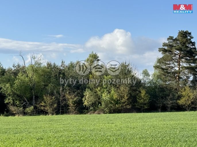 Prodej, Komerční pozemky, Homole