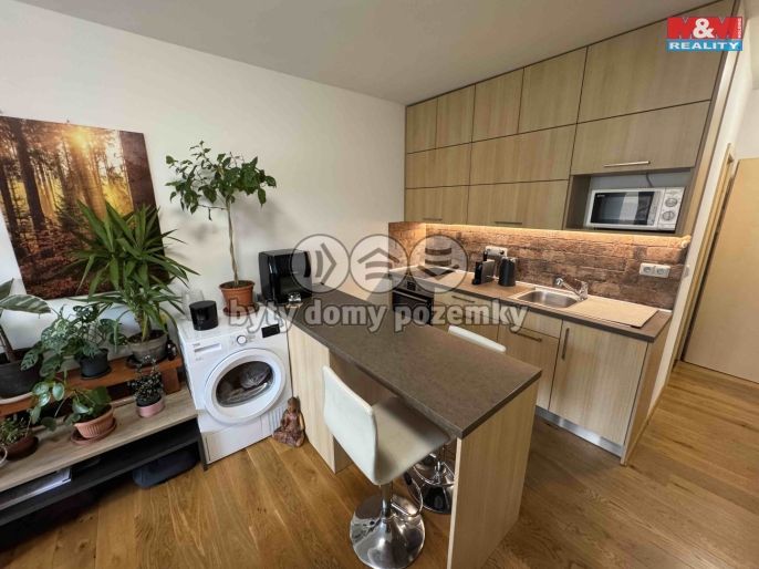 Pronájem, Byt 1+kk, Strakonice