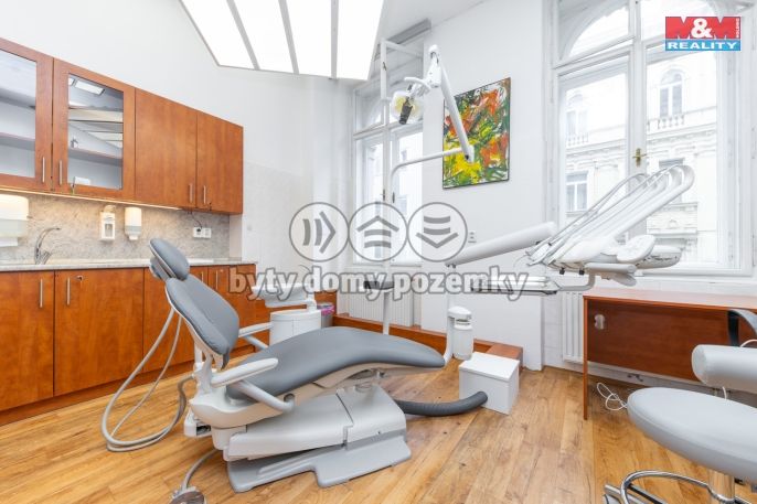 Pronájem, Ostatní, Brno